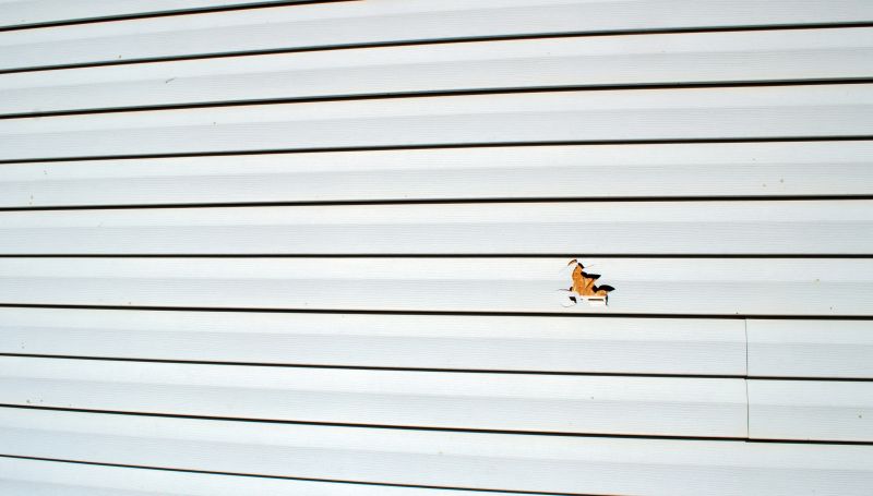 Vinyl Siding Repair in Action